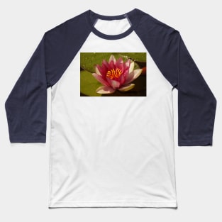 Pink Water Lily Baseball T-Shirt